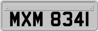 MXM8341