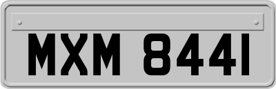 MXM8441