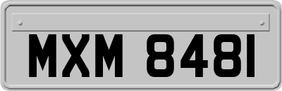 MXM8481