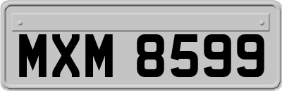 MXM8599