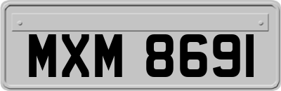 MXM8691