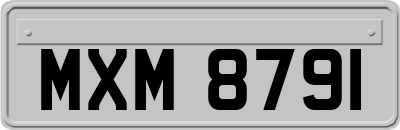 MXM8791