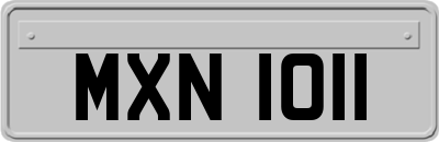 MXN1011