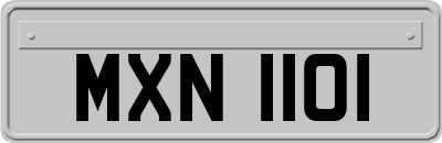 MXN1101