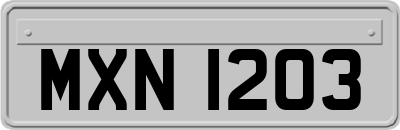 MXN1203