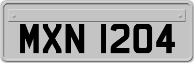 MXN1204