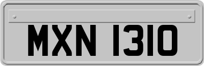 MXN1310