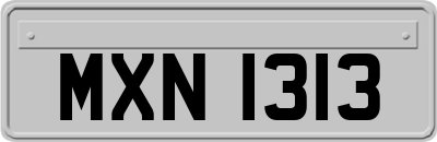 MXN1313