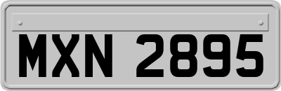 MXN2895