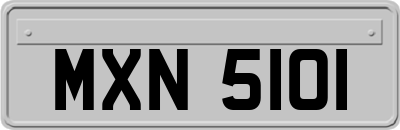 MXN5101