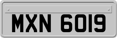 MXN6019