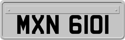 MXN6101