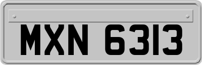 MXN6313