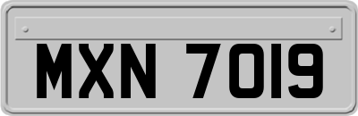 MXN7019