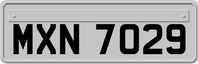 MXN7029