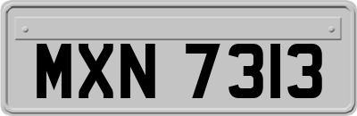 MXN7313