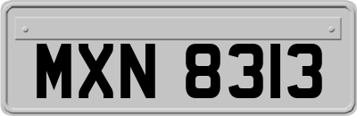 MXN8313