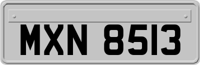 MXN8513