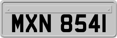 MXN8541