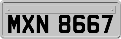 MXN8667