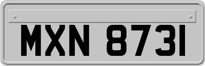 MXN8731