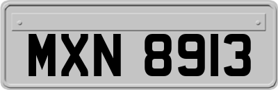 MXN8913