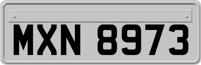 MXN8973