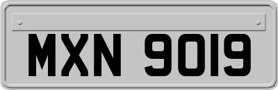 MXN9019