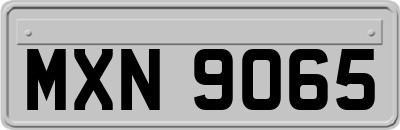 MXN9065