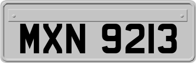 MXN9213