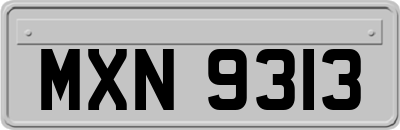 MXN9313