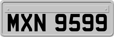 MXN9599