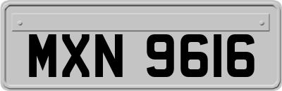 MXN9616