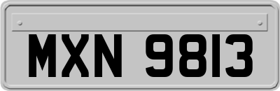 MXN9813