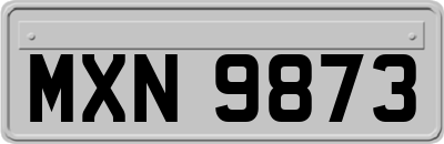 MXN9873