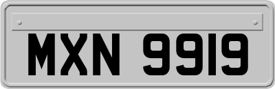 MXN9919