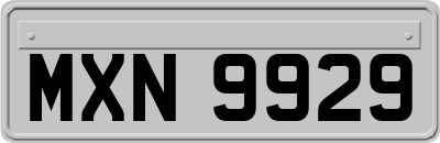 MXN9929