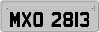 MXO2813