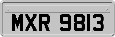 MXR9813