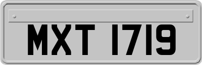 MXT1719