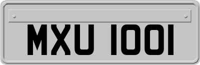 MXU1001