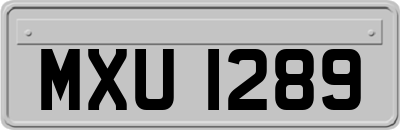 MXU1289