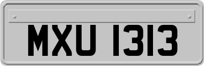 MXU1313