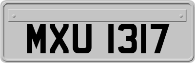MXU1317