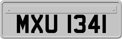 MXU1341