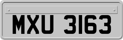 MXU3163
