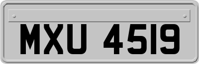 MXU4519