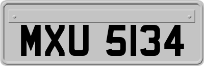 MXU5134