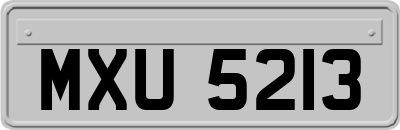 MXU5213