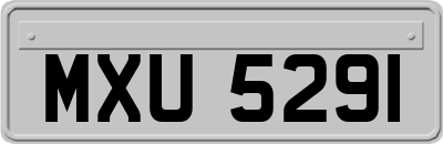 MXU5291